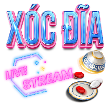 X&oacute;c đĩa zbet